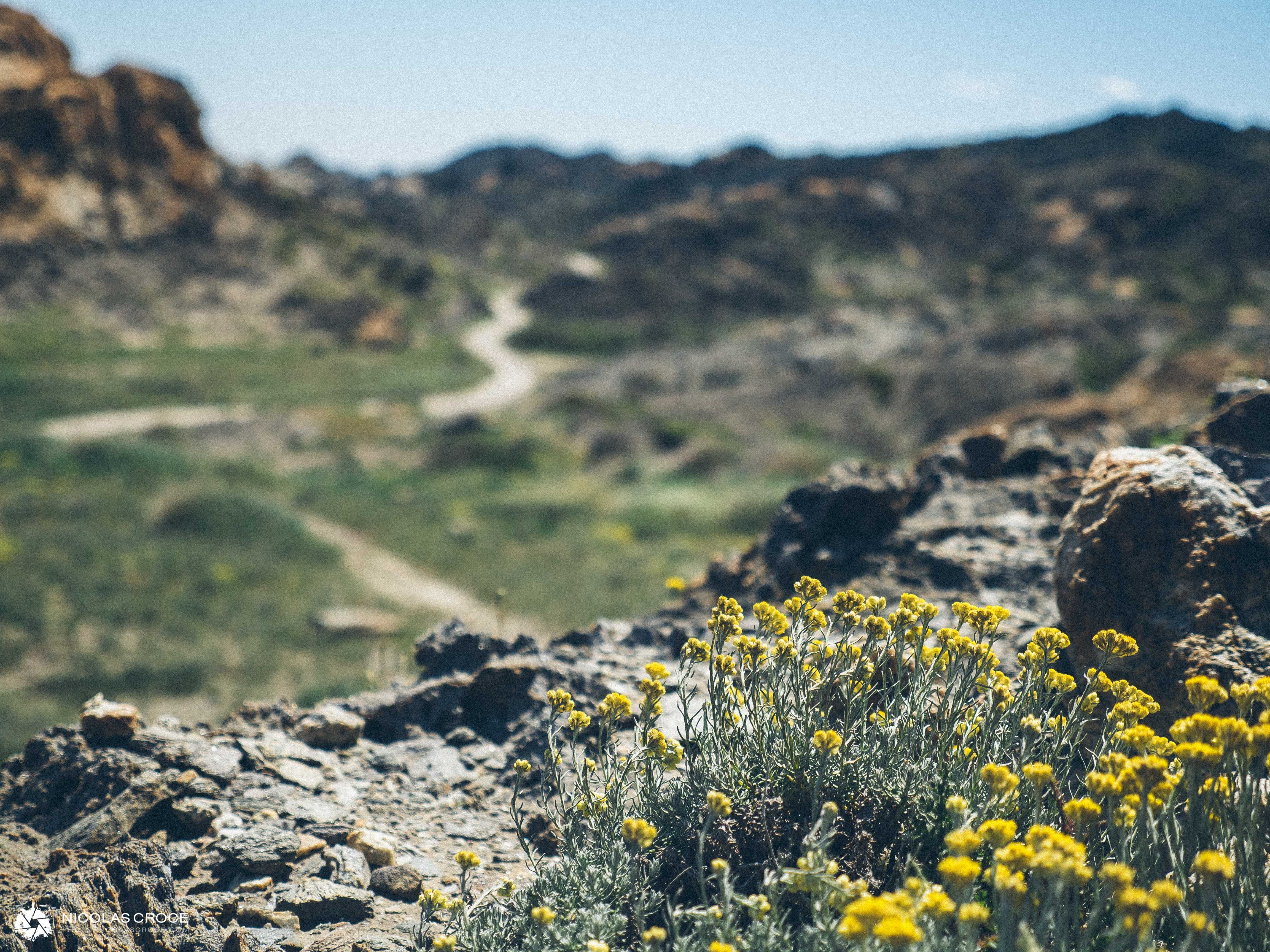Cap de Creux, Espagne