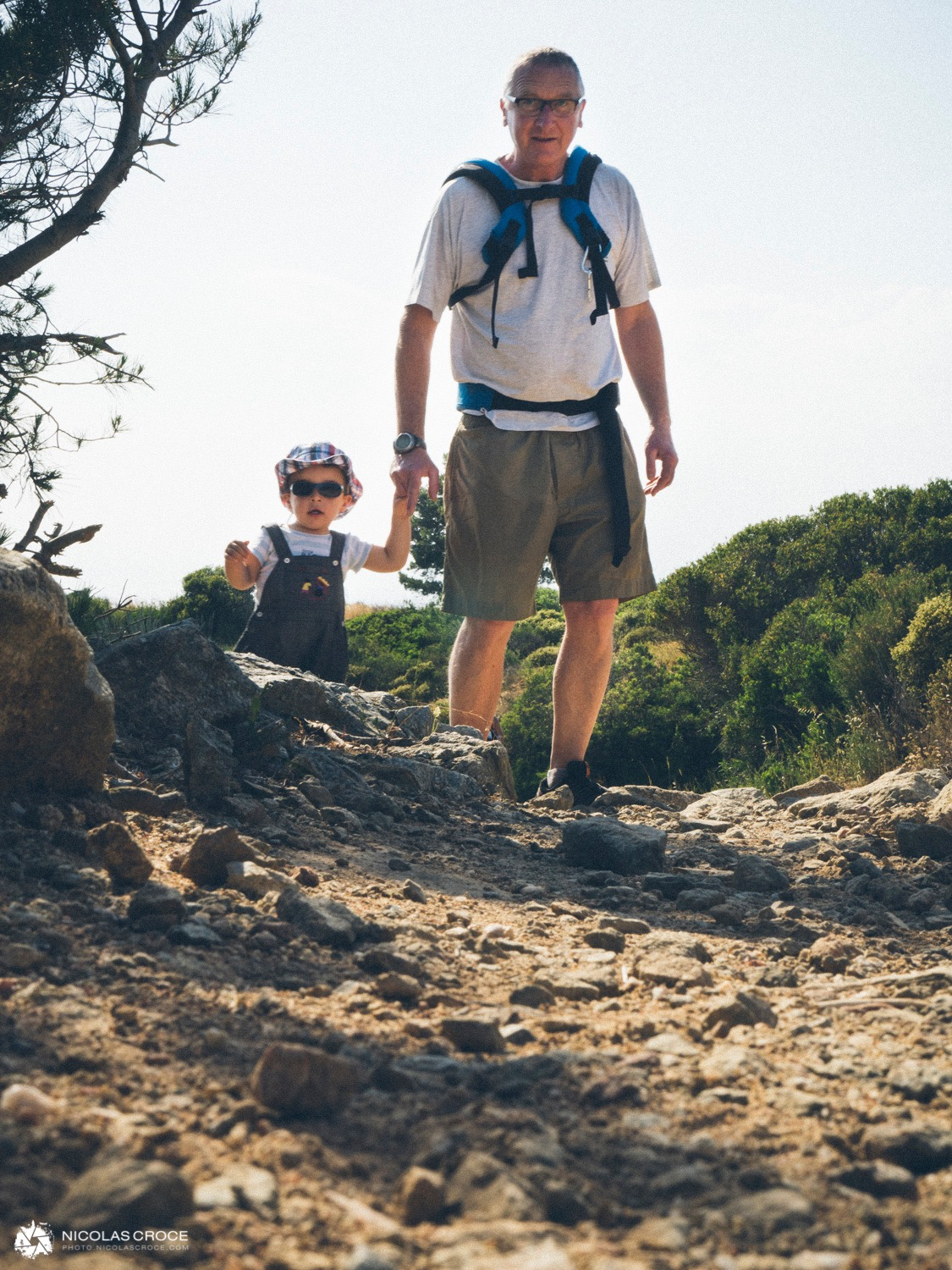 img-alternative-text