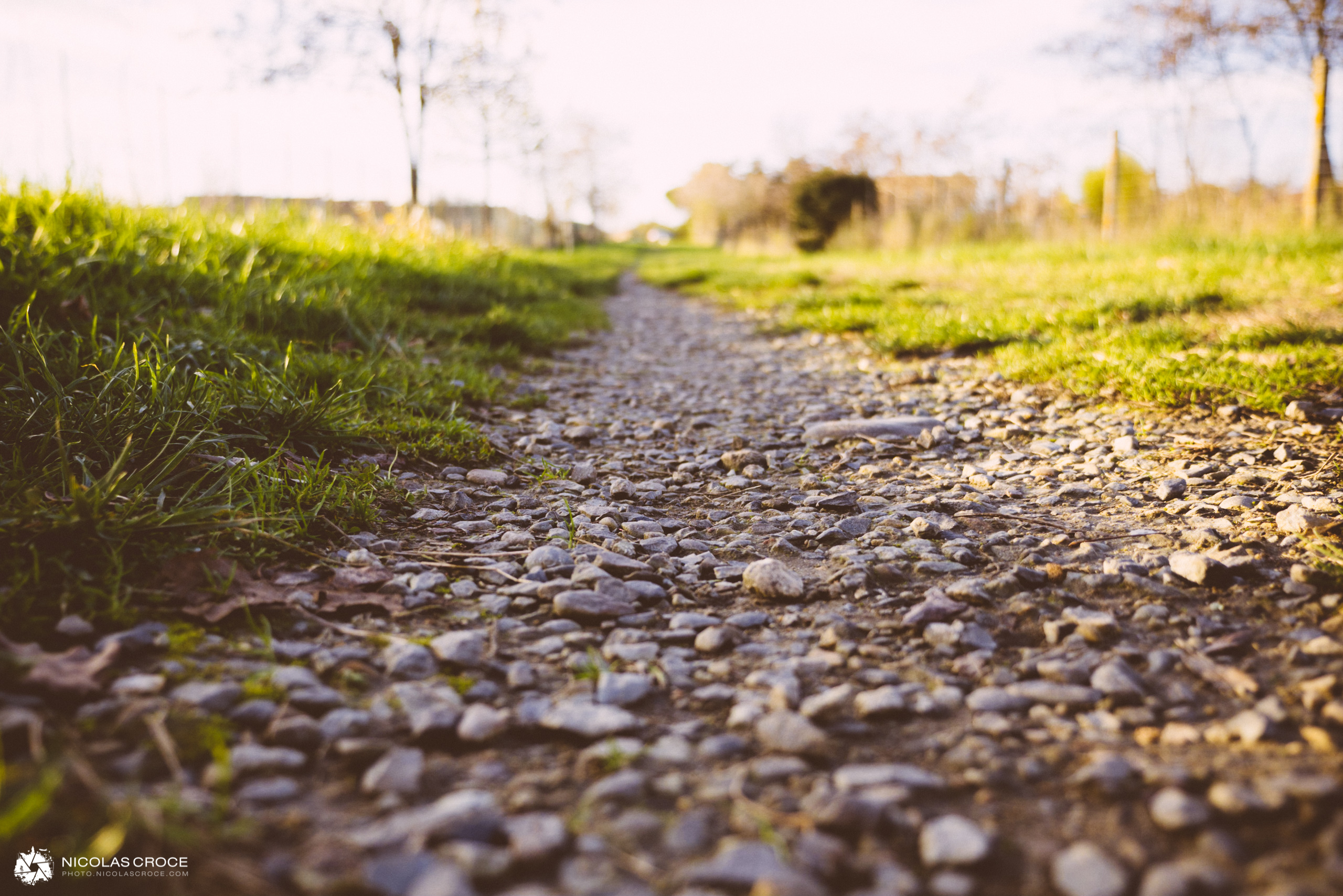 Un petit chemin, au milieu de l'herbe verte, pour se ballader au coucher du soleil
