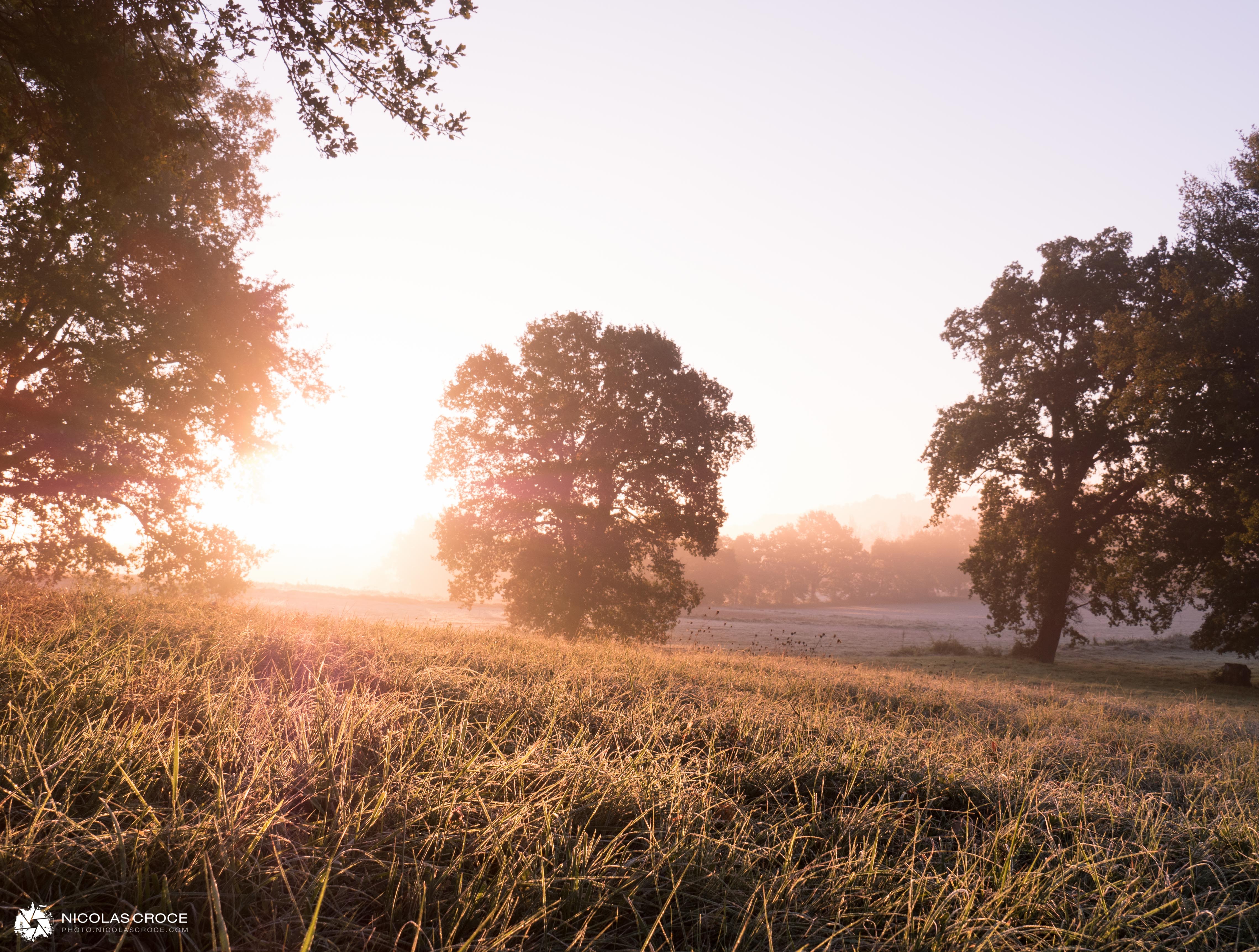 Ce matin, sur la route pour me rendre au bureau, je n’ai pas pu m’empêcher de m’arrêter pour prendre cette photo. Le soleil était en train de se lever sur les champs qui entourent notre nouvelle maison, et la première gelée de l’année créait de magnifiques reflets dans l’herbe verte.