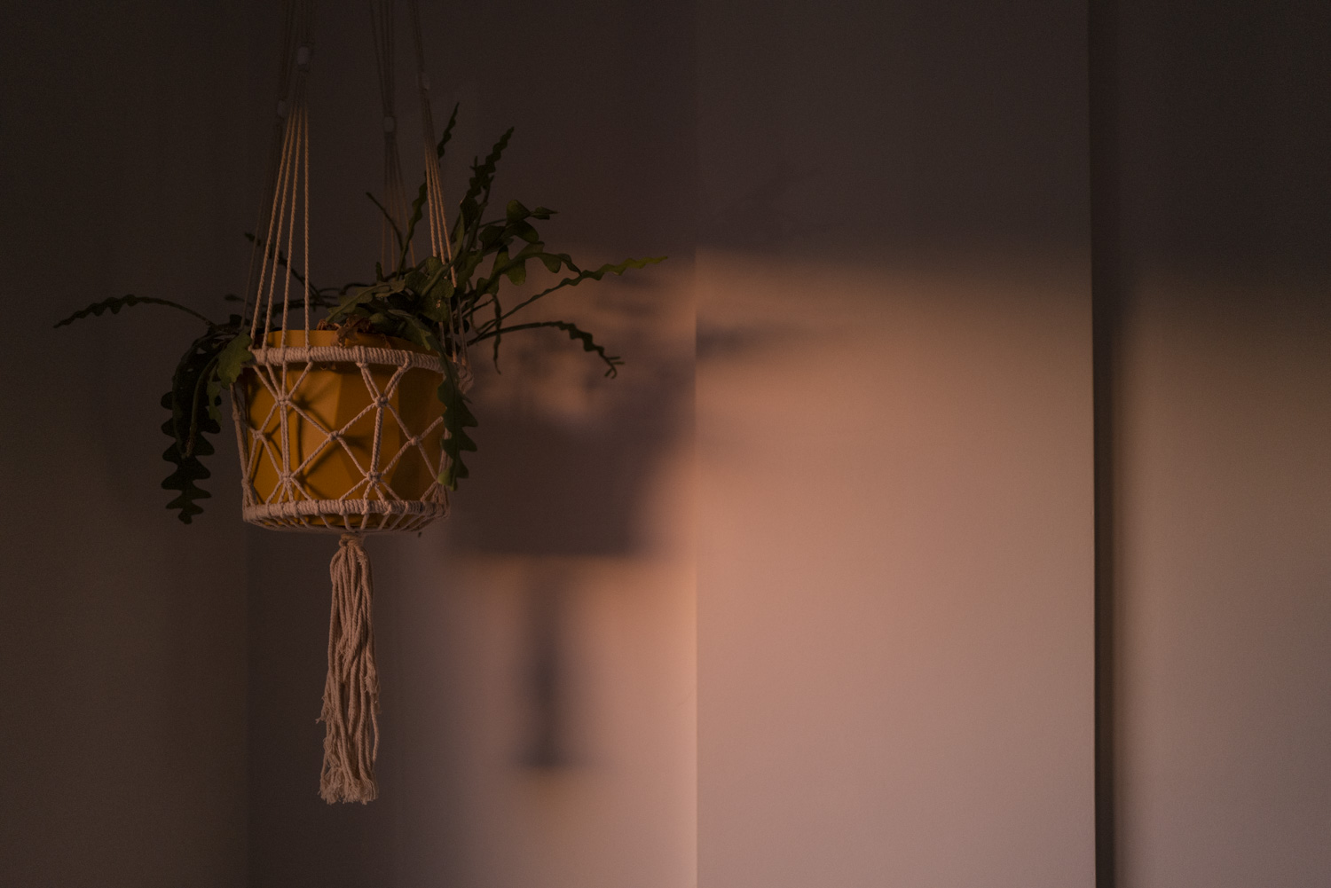 Muro de Alcoy, juillet 2019