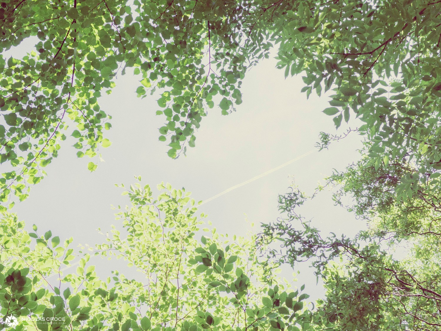 mesure-exposition-photo-2