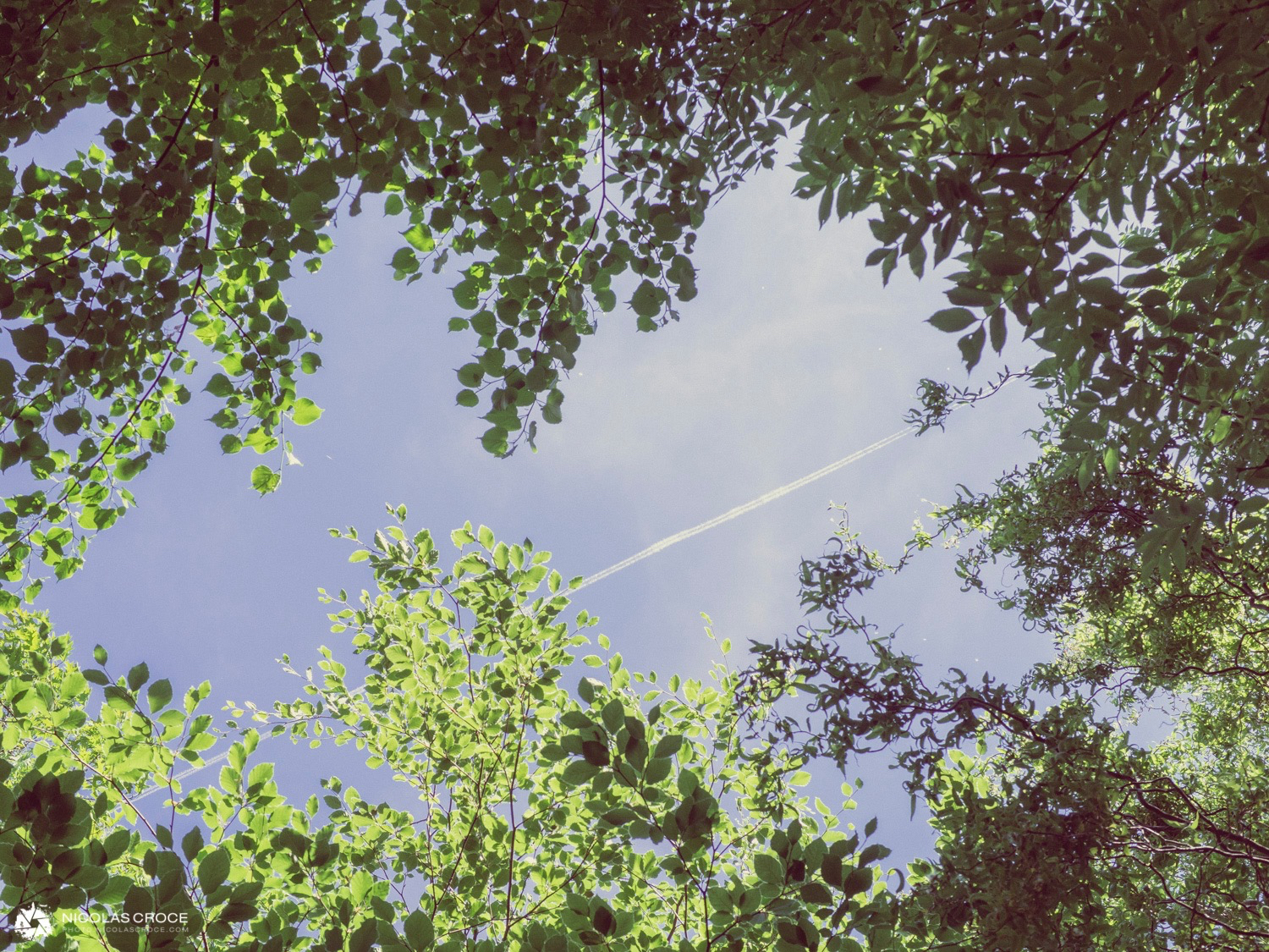 mesure-exposition-photo-3