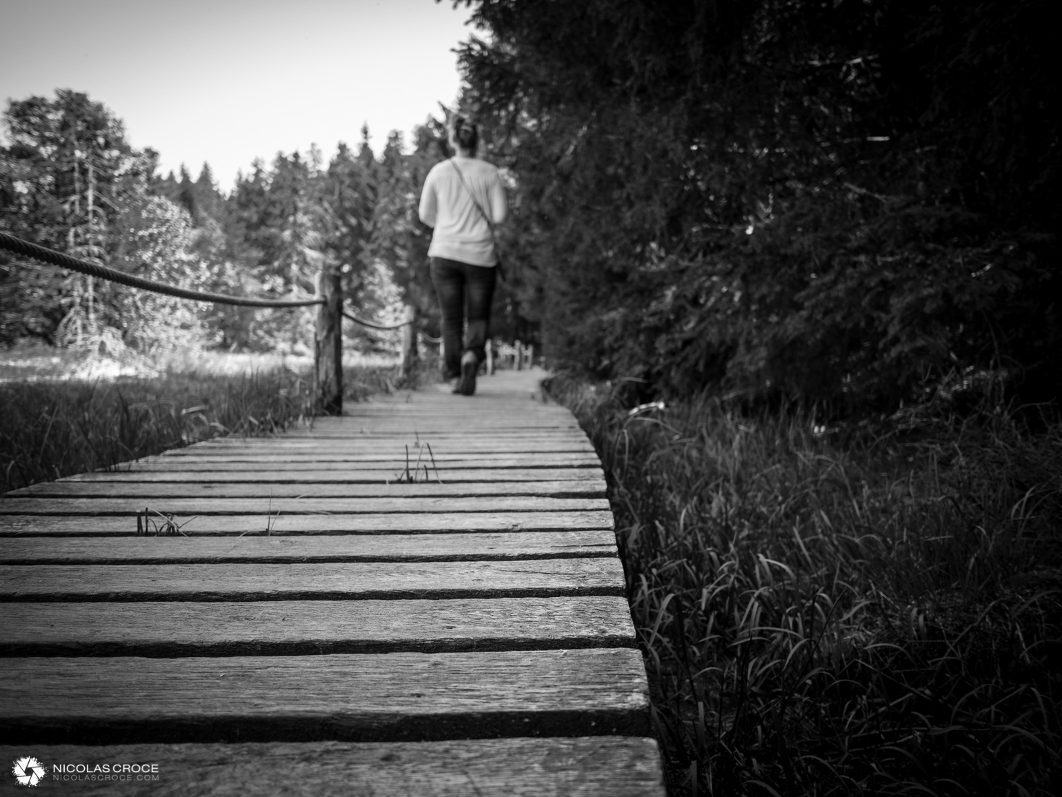 Promenade autour du lac de servieres