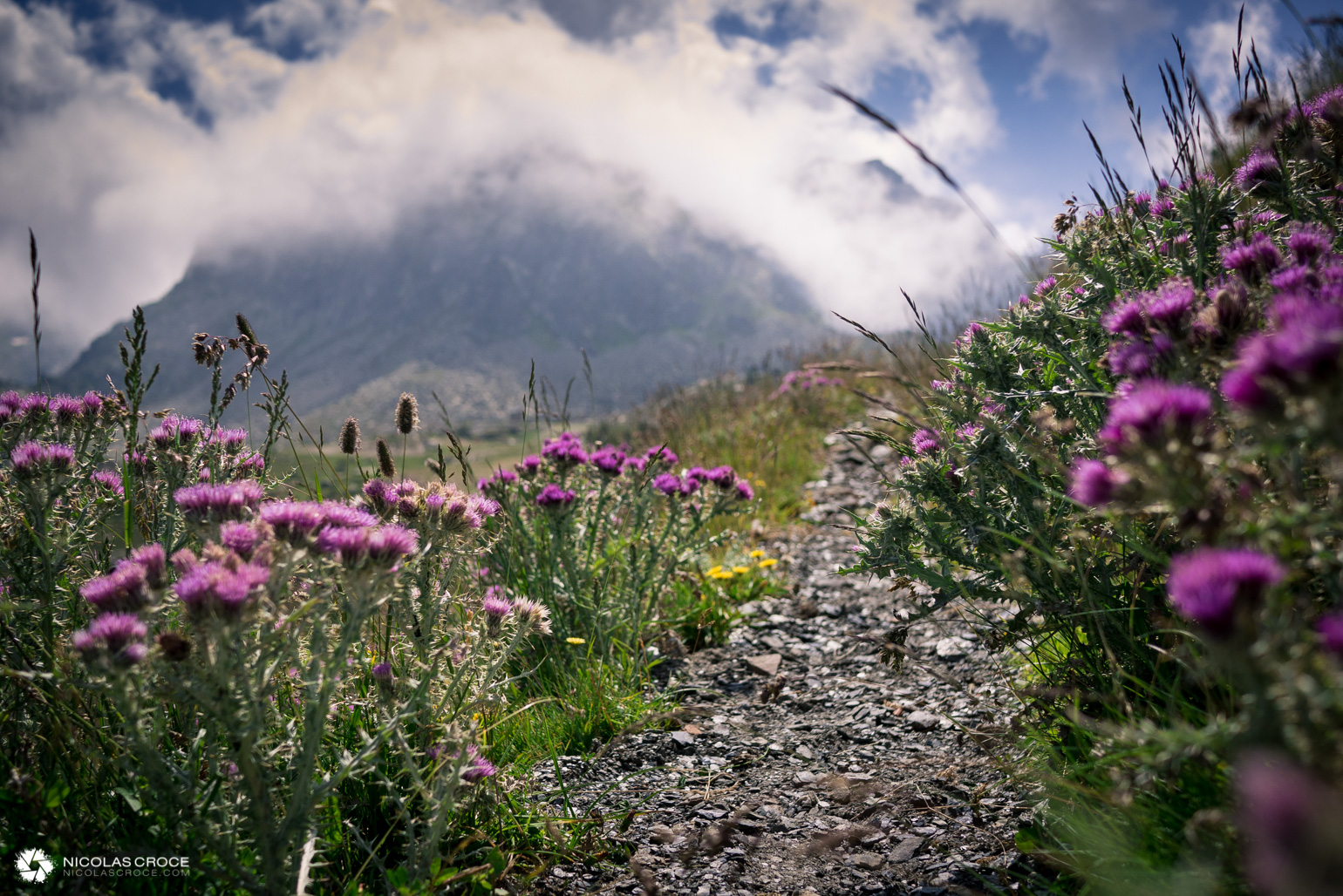 _1010945-portfolio@2x