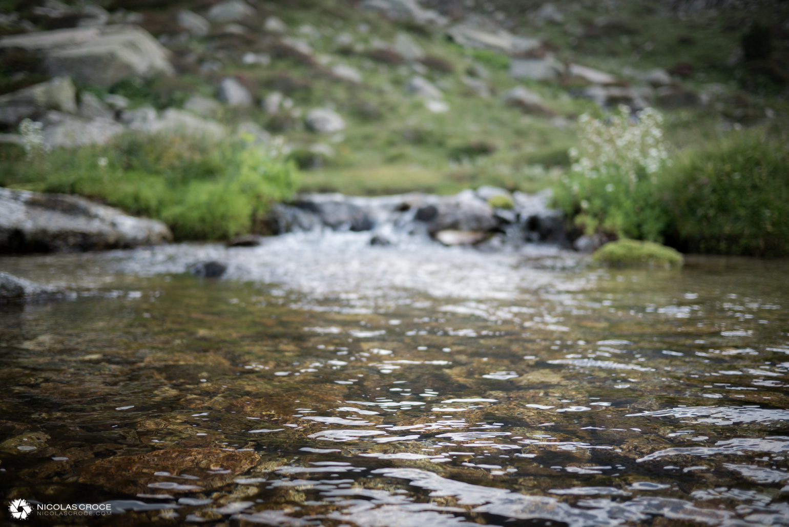 _1010969-portfolio@2x