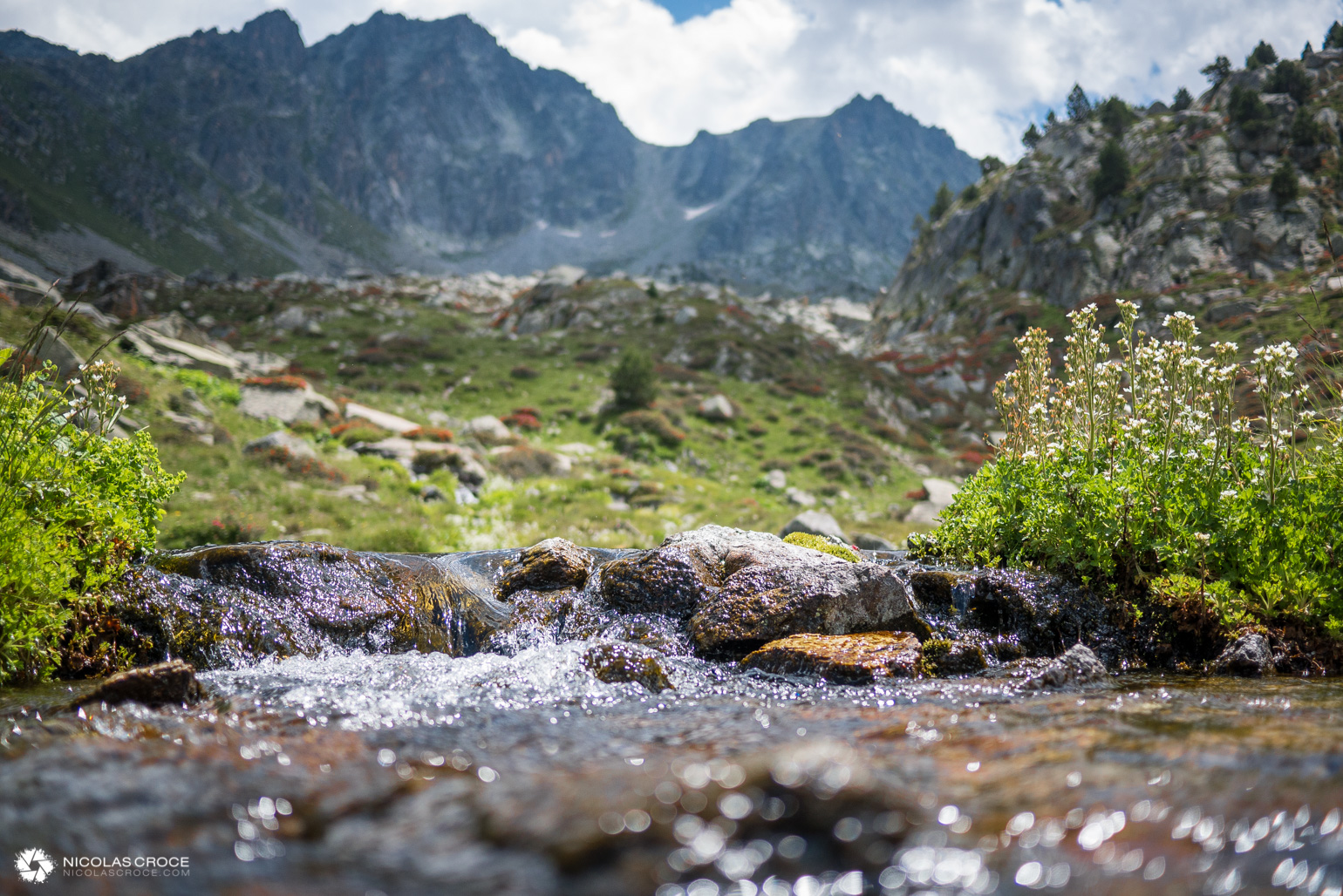 _1010971-portfolio@2x