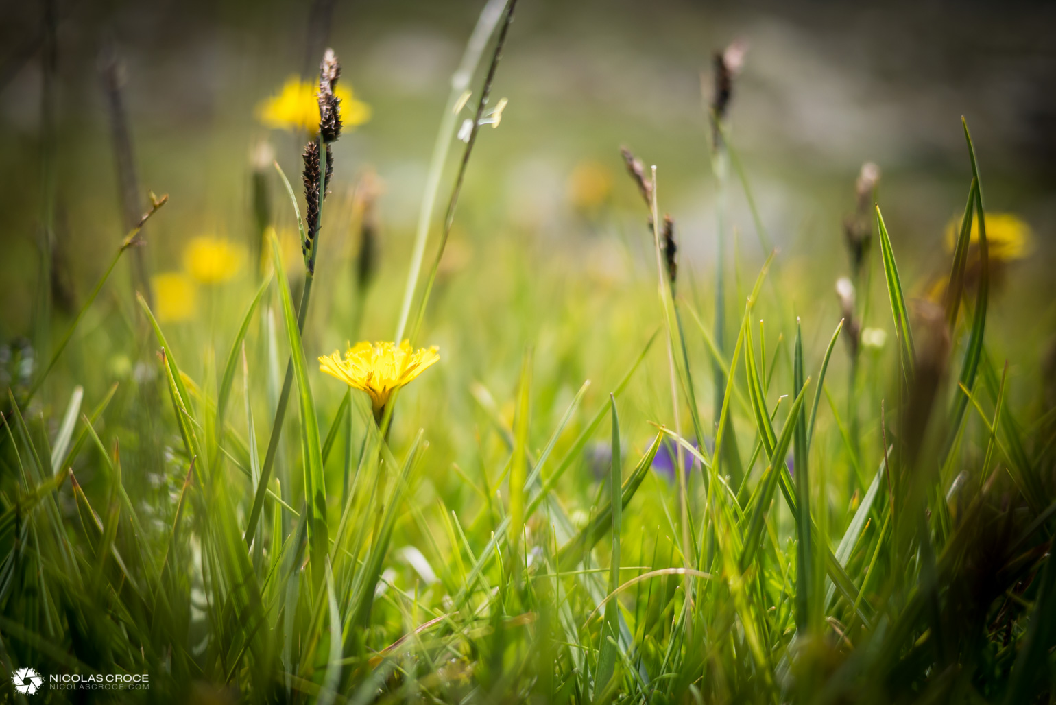 _1010975-portfolio@2x