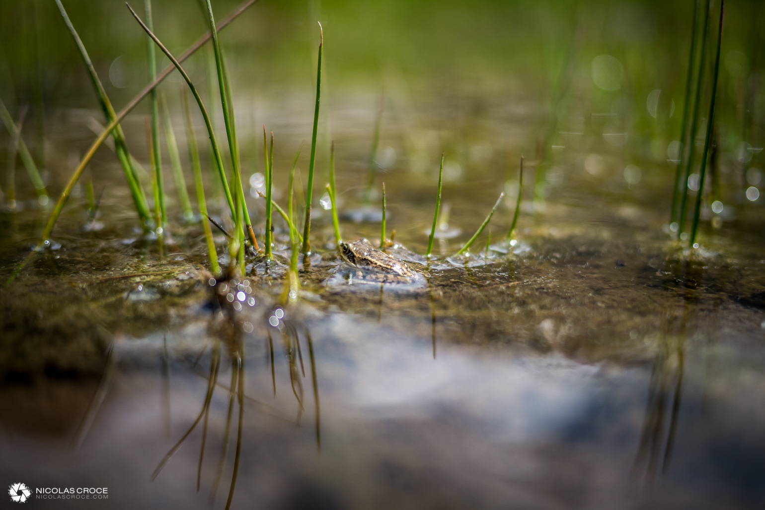 _1010977-portfolio@2x