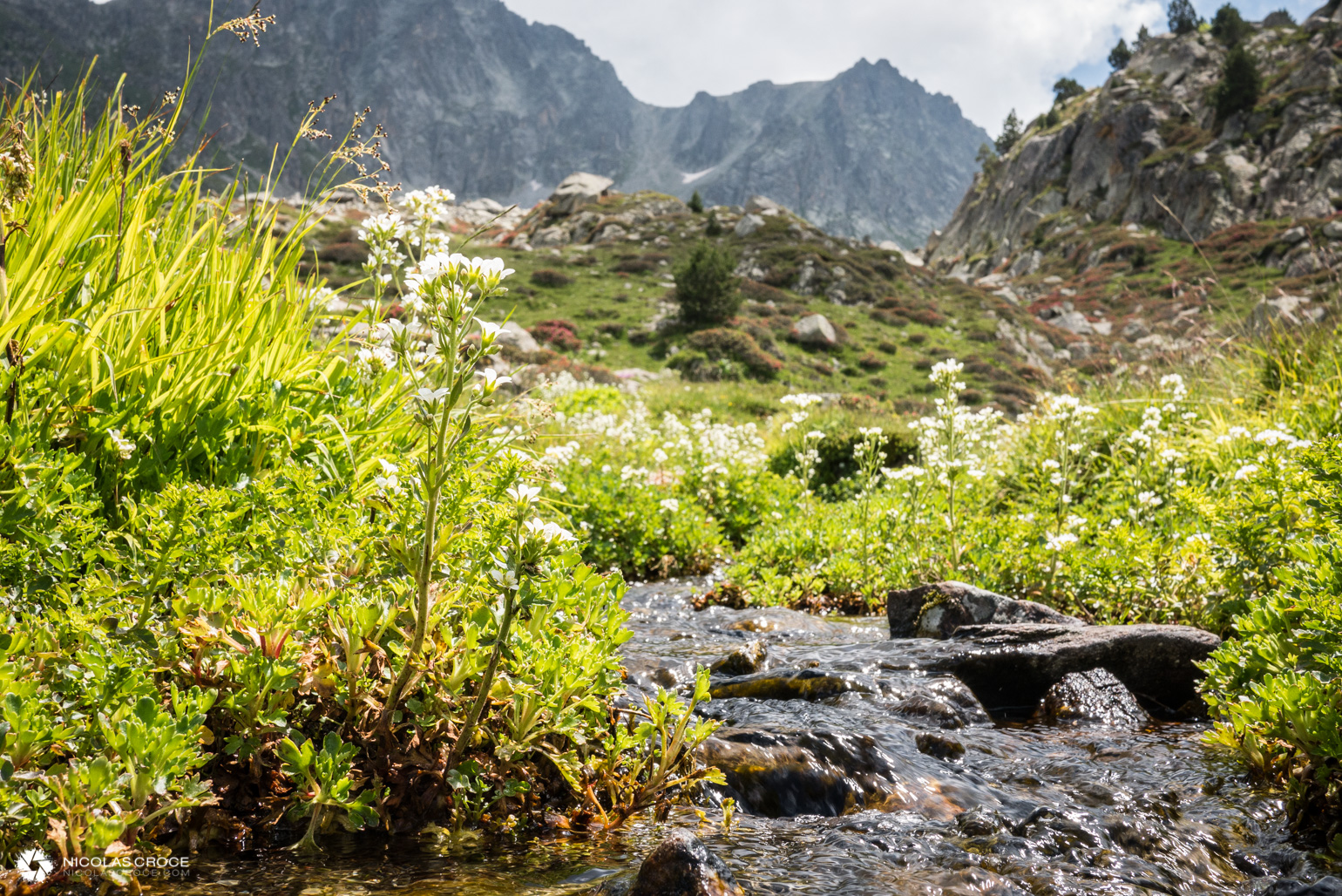 _1010981-portfolio@2x