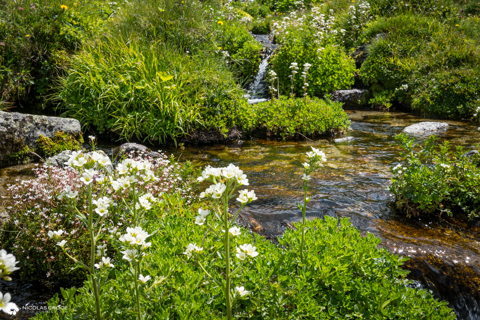 _1010982-portfolio@2x