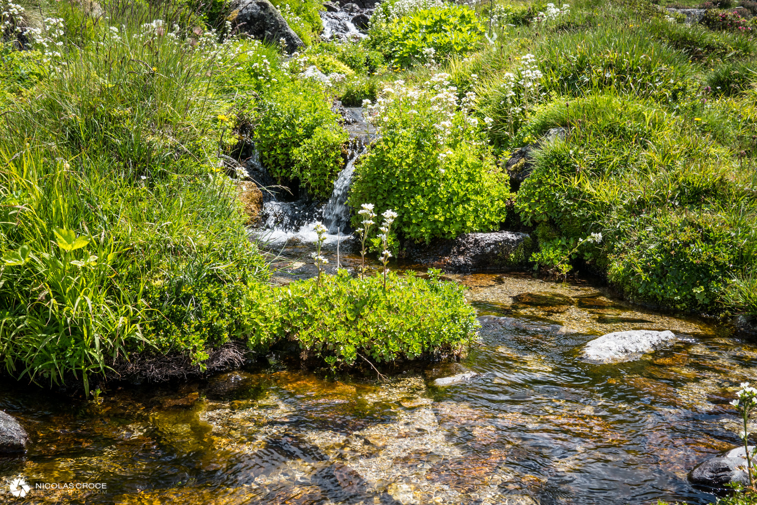 _1010983-portfolio@2x