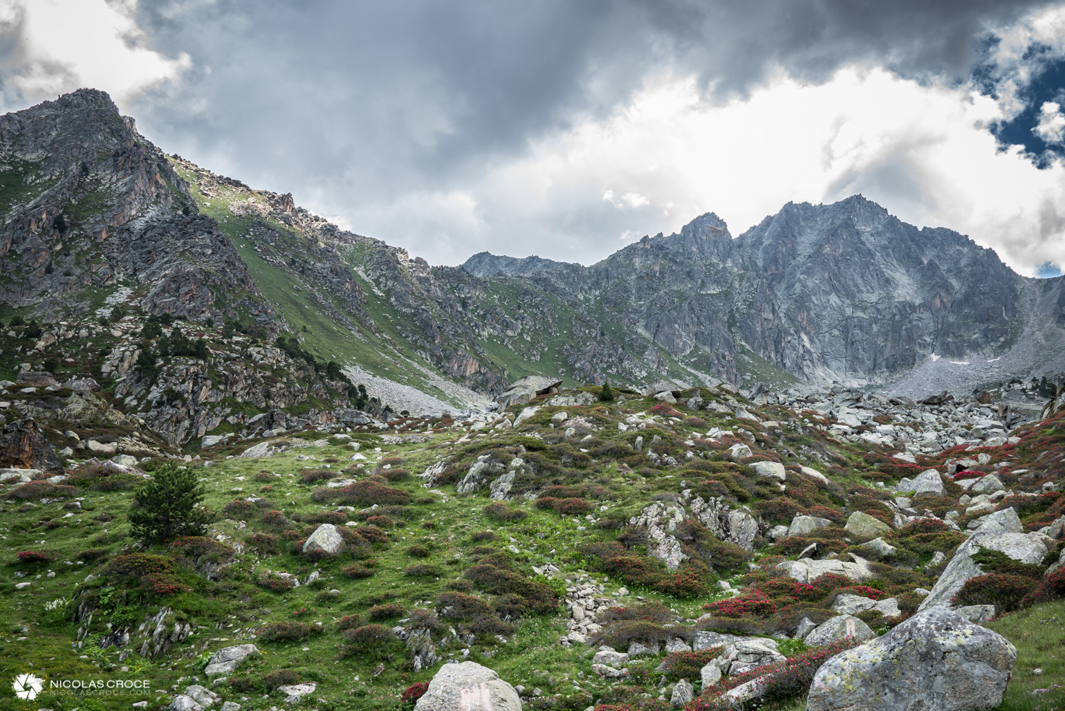 _1010989-portfolio@2x