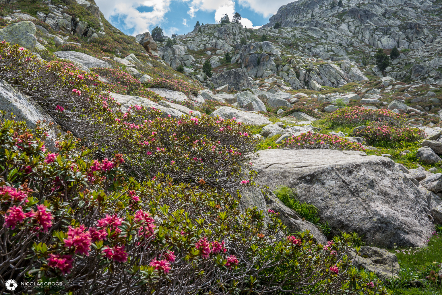 _1010990-portfolio@2x