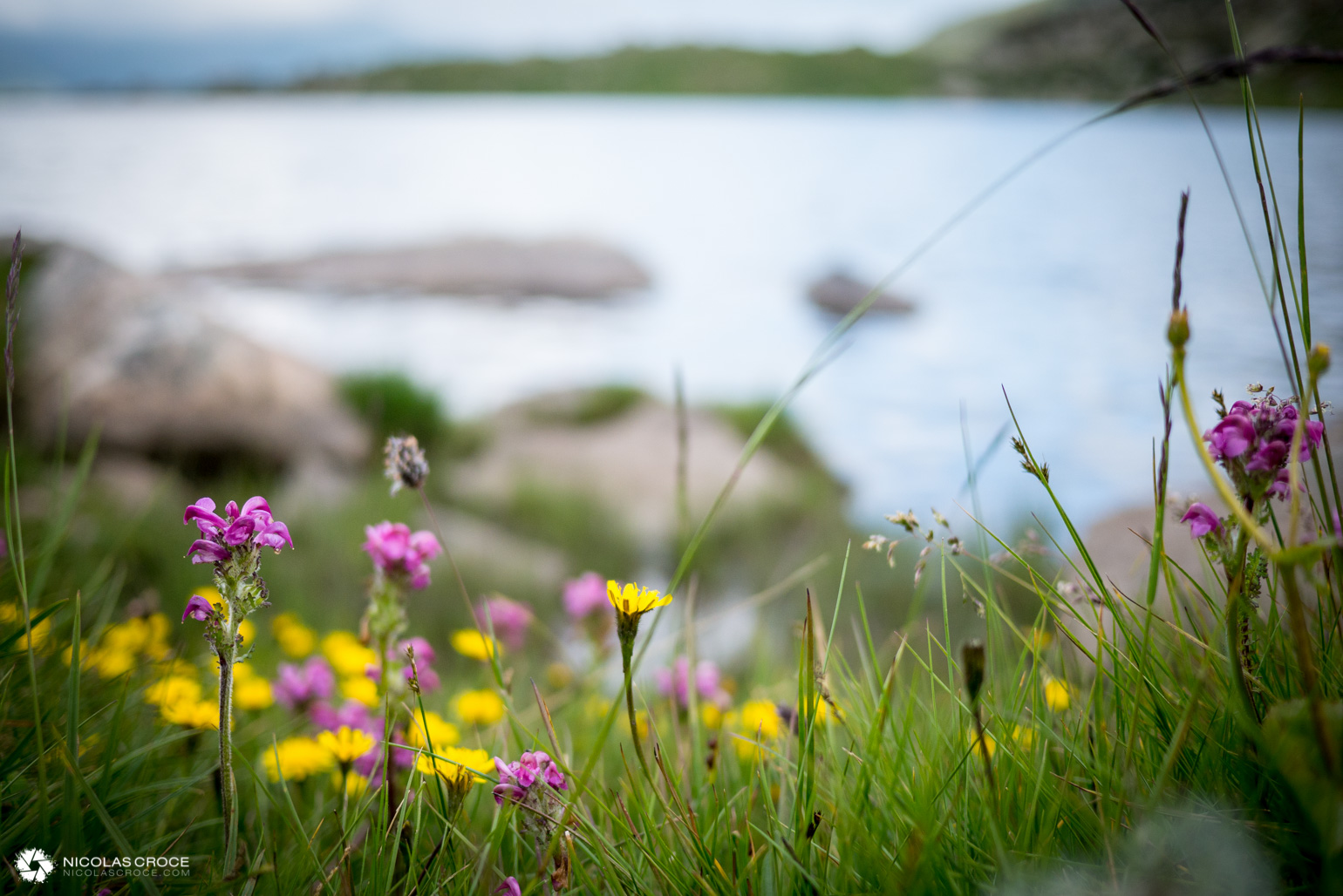 _1010998-portfolio@2x