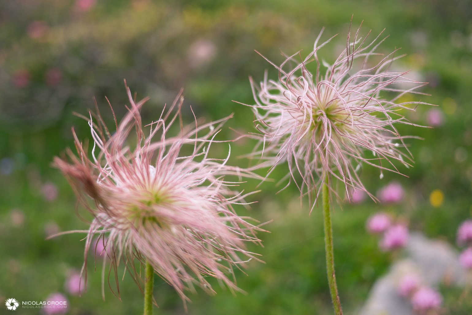 _1020006-portfolio@2x