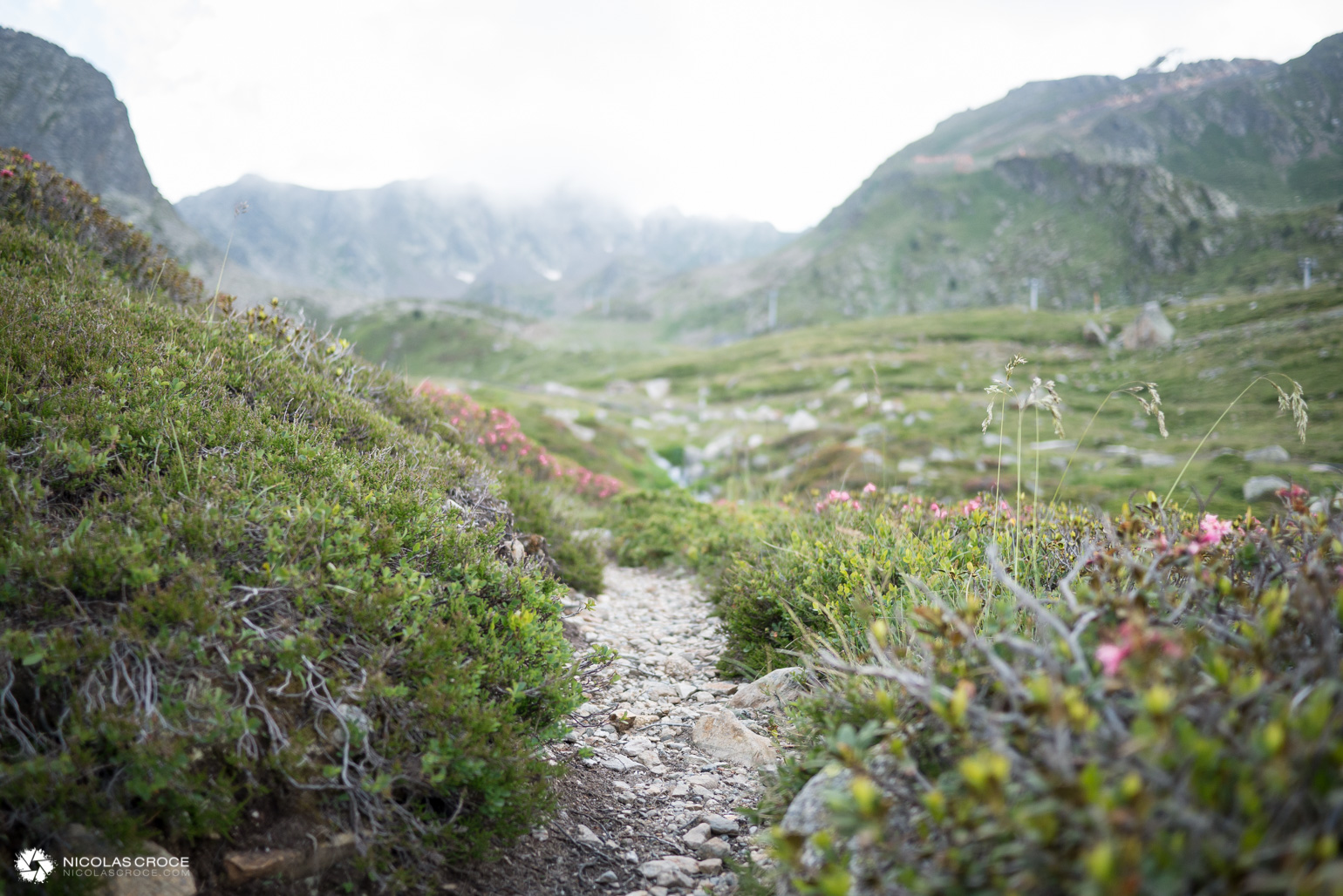 _1020009-portfolio@2x