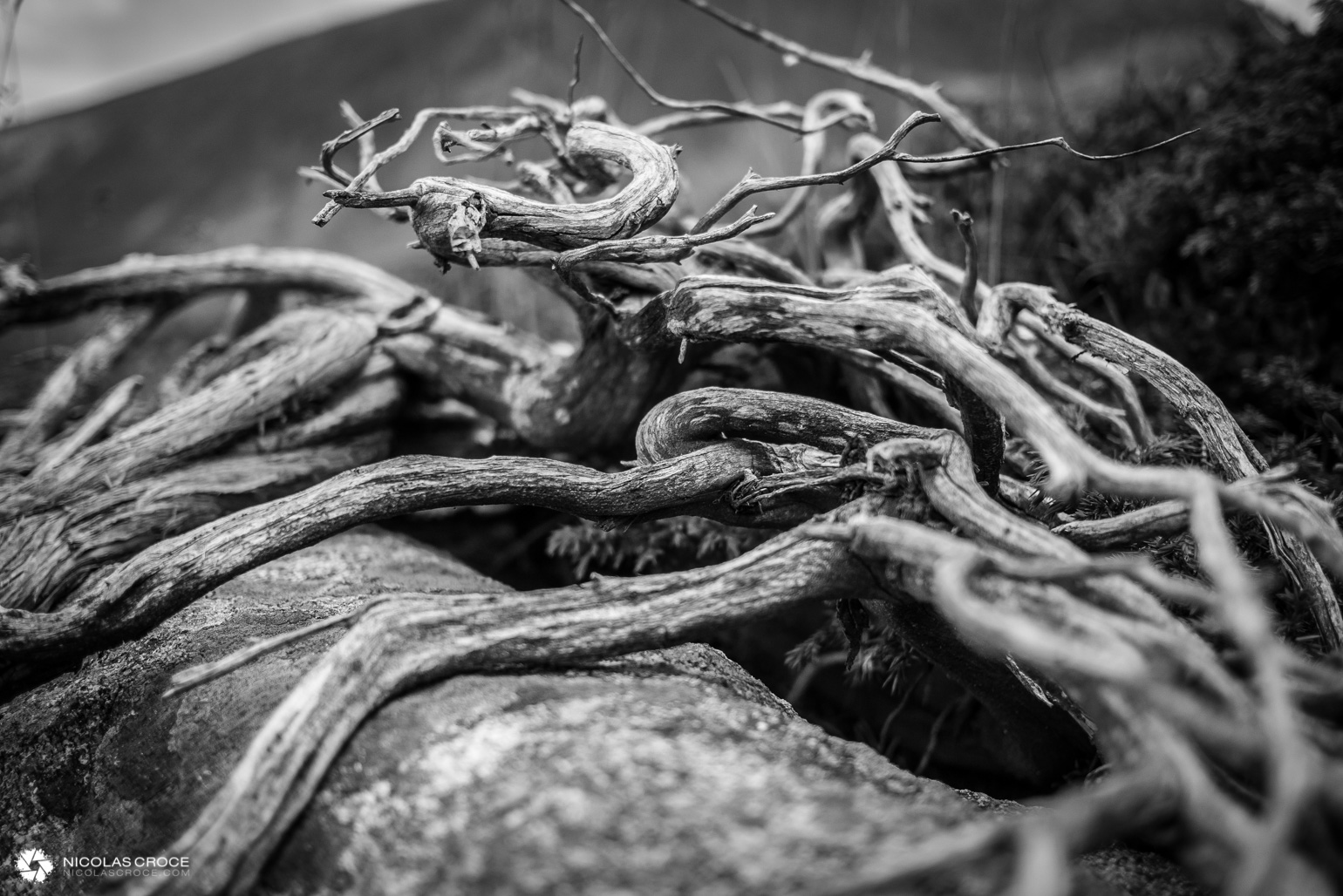 _1020017-portfolio@2x