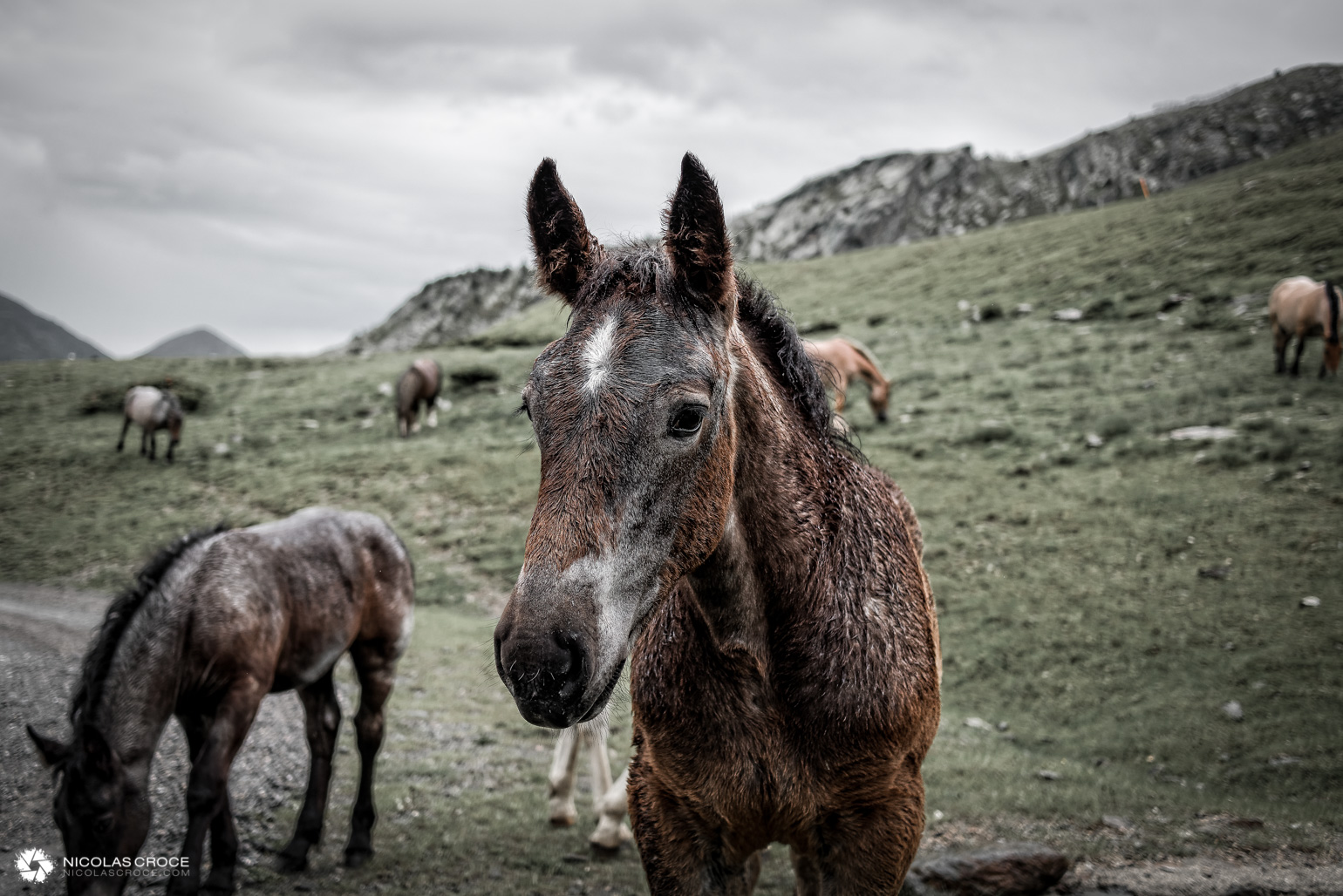 _1020061_DxO-portfolio@2x