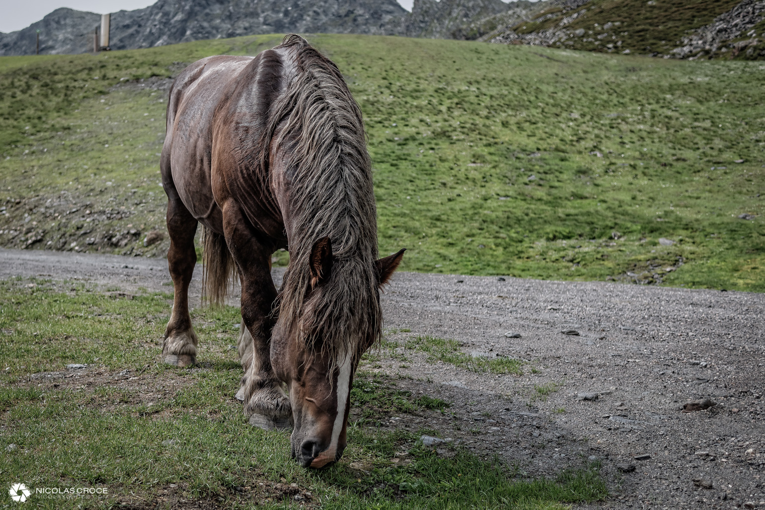 _1020092_DxO-portfolio@2x