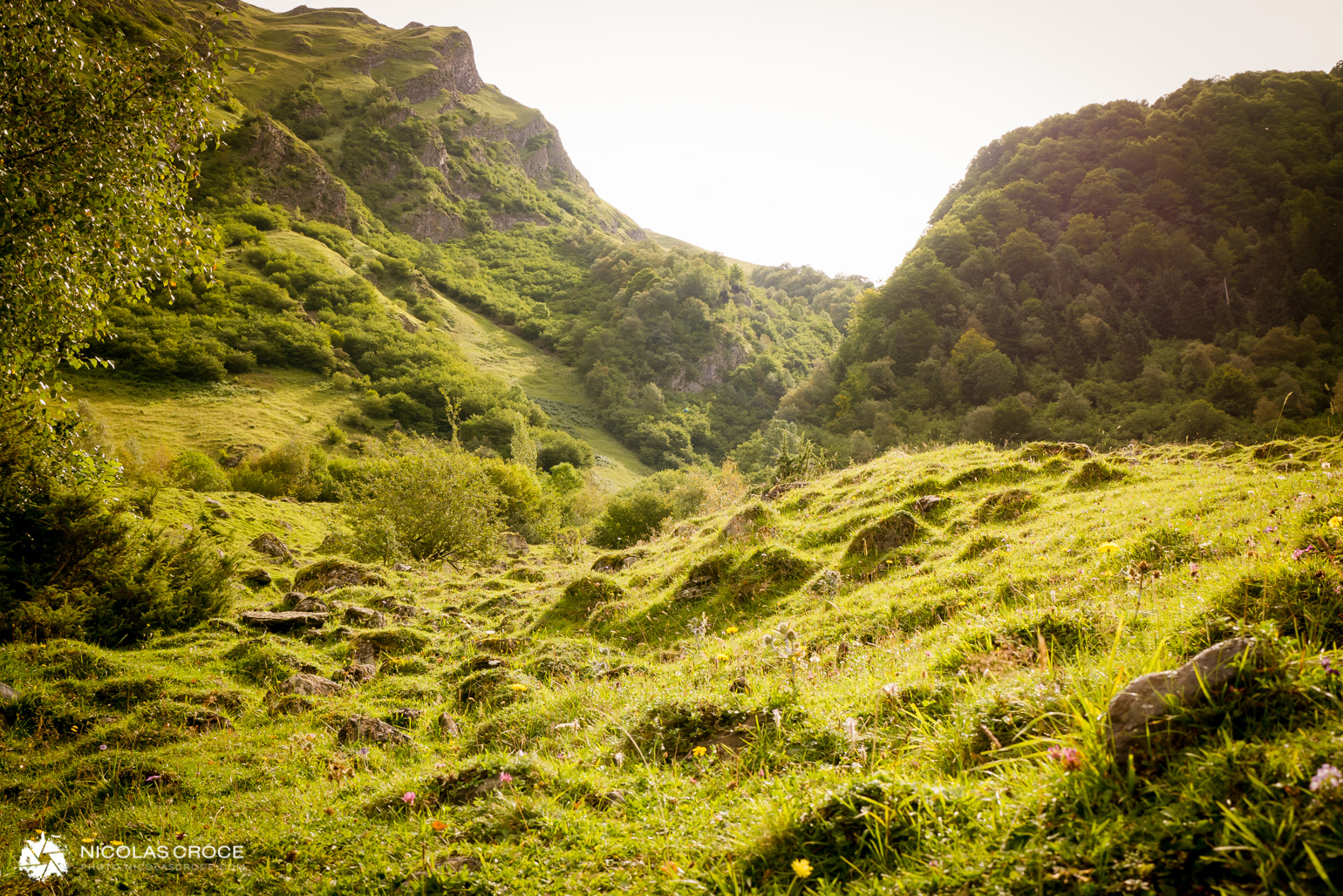 _1020636-portfolio@2x