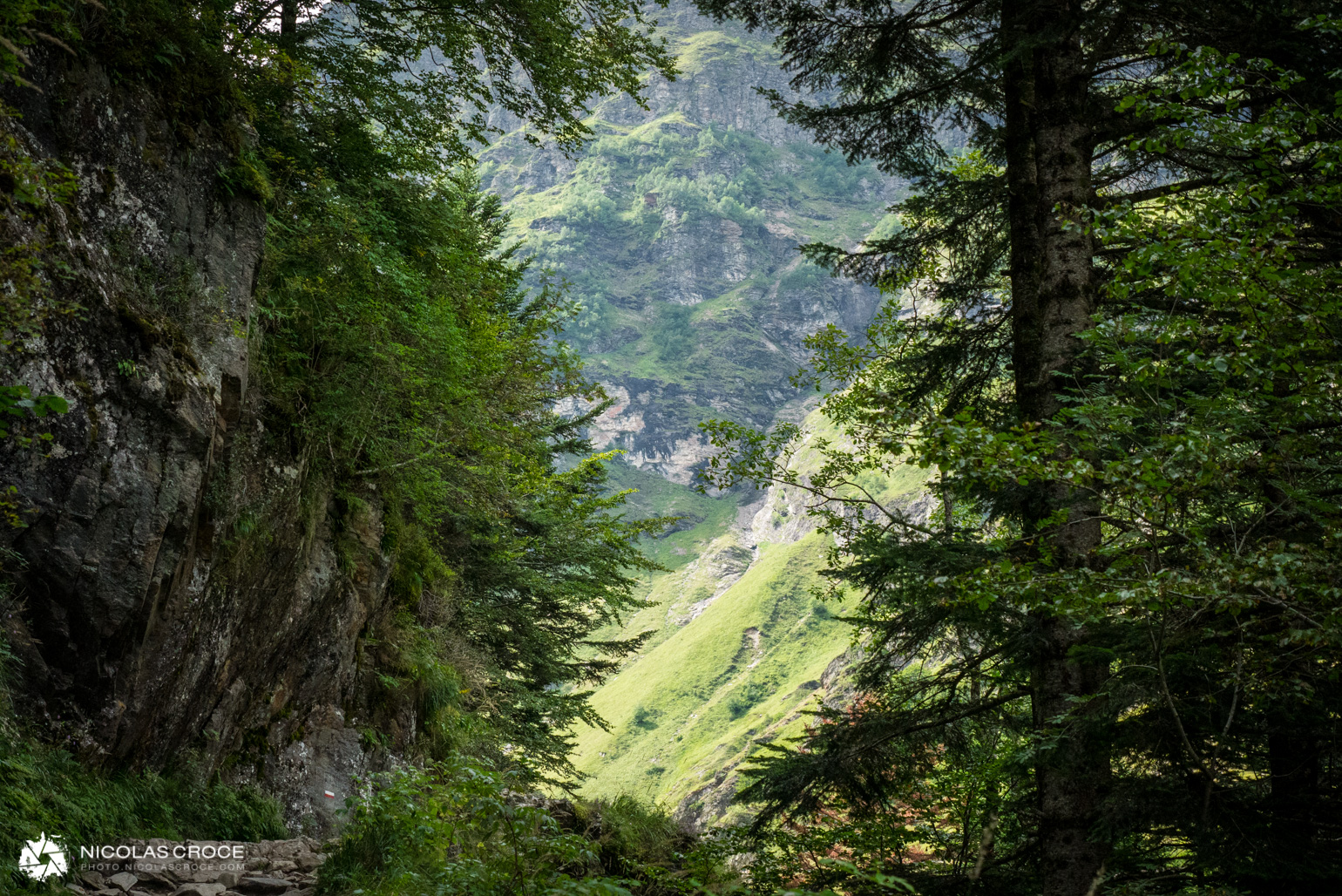 _1020664-portfolio@2x