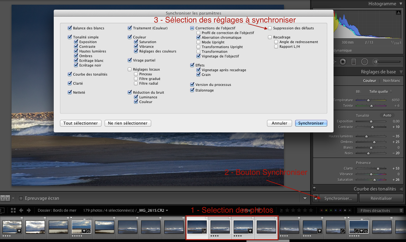 11-correction-defauts-par-lot-lightroom-sync