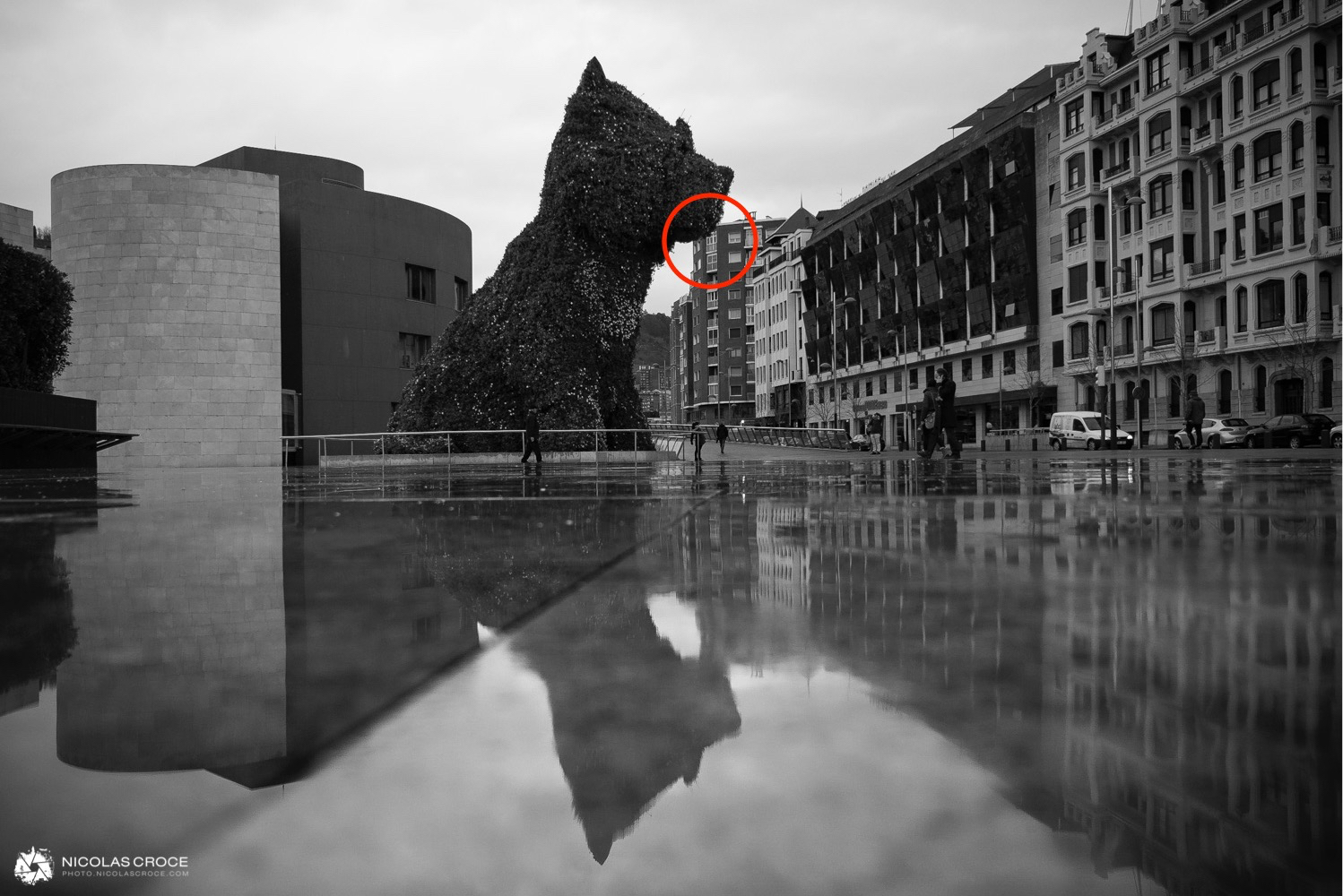 img-alternative-text