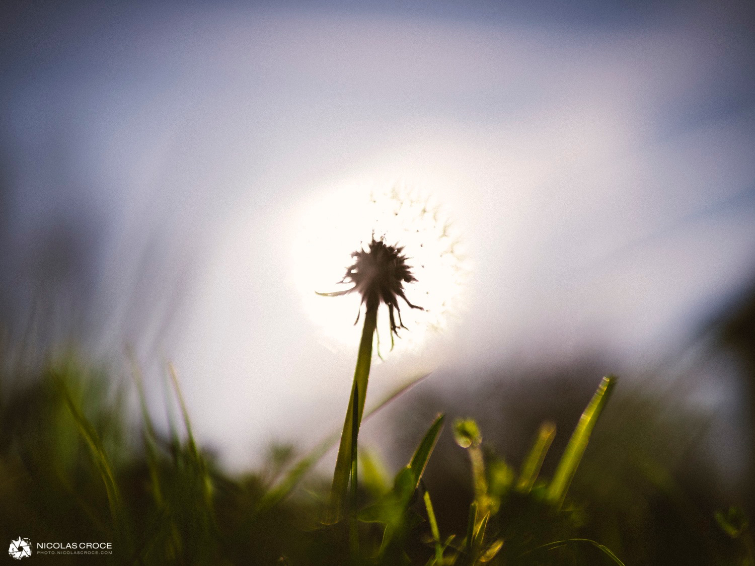 img-alternative-text