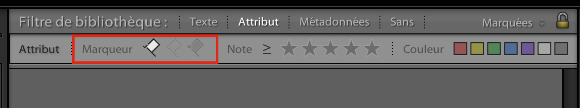 2 filtre marqueurs lightroom