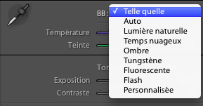 balance-des-blancs-lightroom-options-predefinies