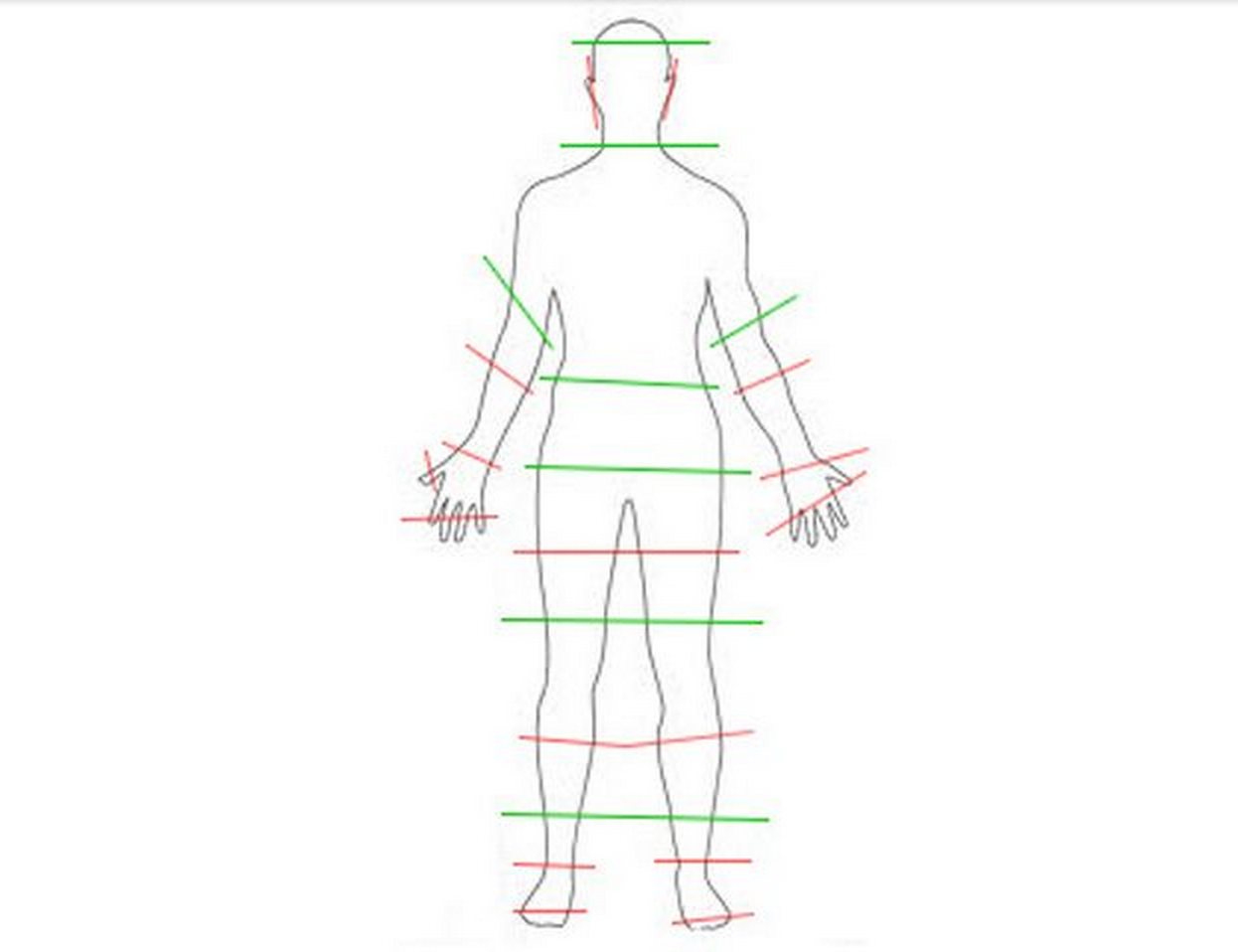 composition-photo-ou-couper-un-corps