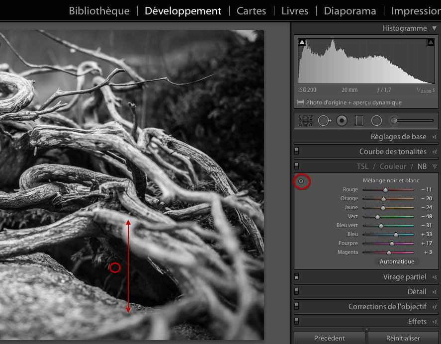 conversion noir blanc reglage glissement