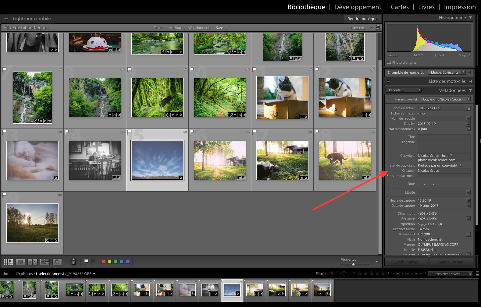 copyright-exif-lightroom