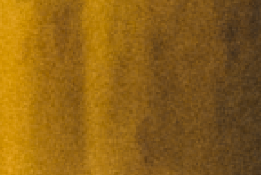 detail-bruit-sensibilite-iso-photographie