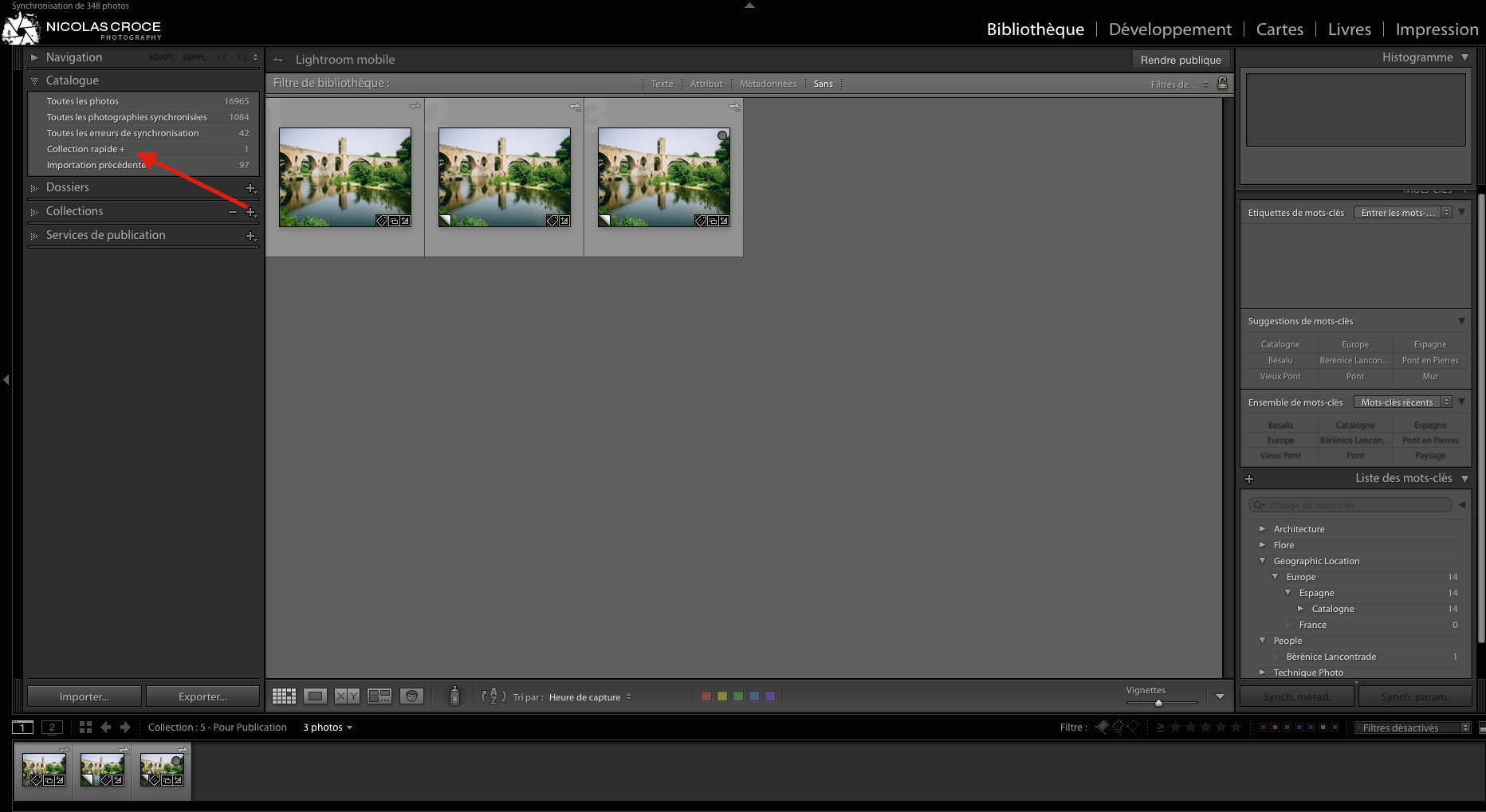 Emplacement-collection-rapide-lightroom