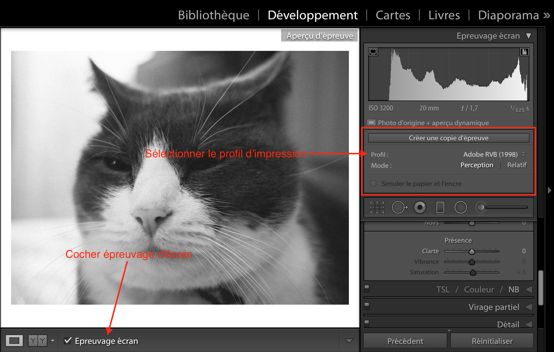 epreuvage-ecran-lightroom