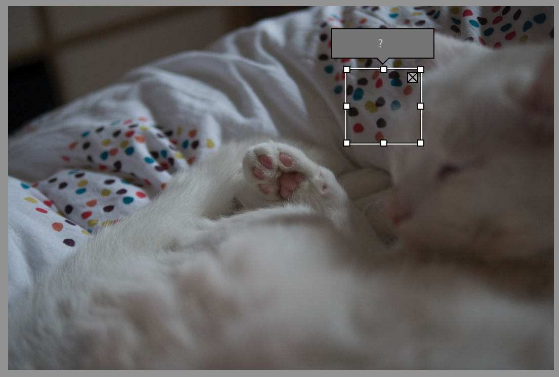 erreur-detection-visage-perconne-lightroom-6-cc