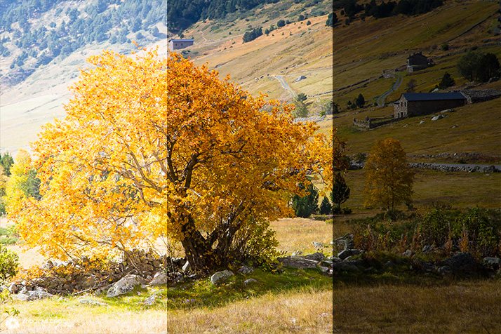 A gauche, photo sur-exposée. Au centre, exposition normale. A droite, photo sous-exposée.