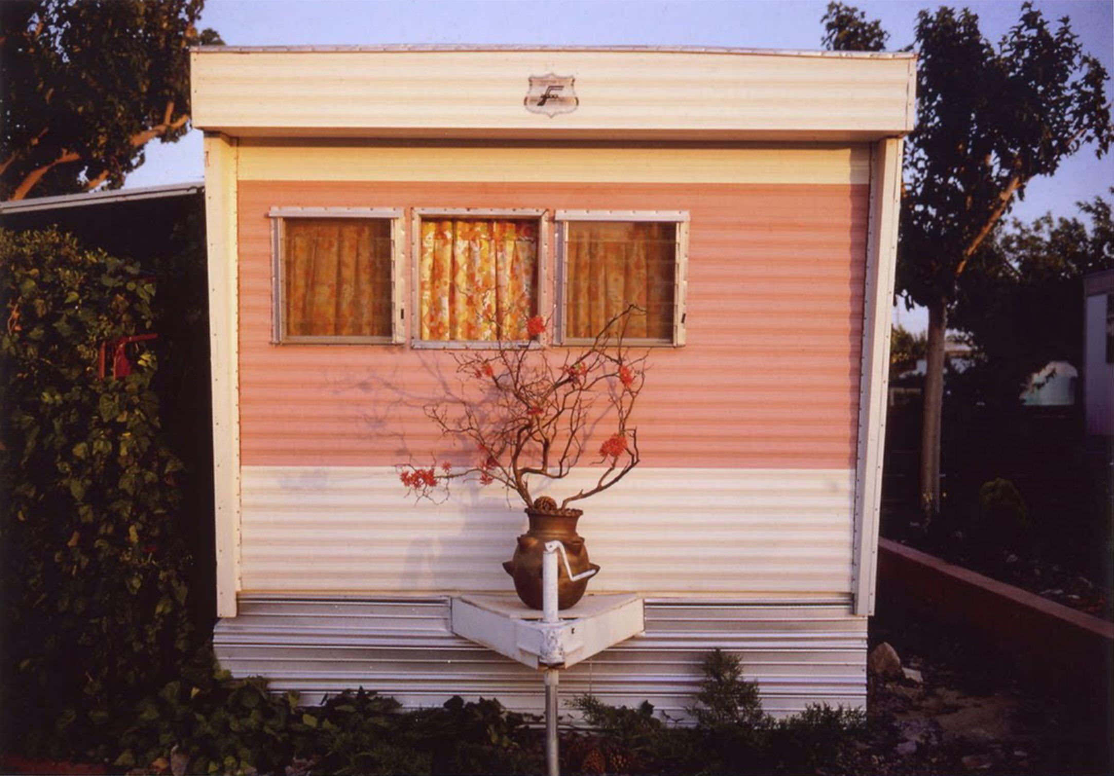 Joel Meyerowitz — Wildflowers