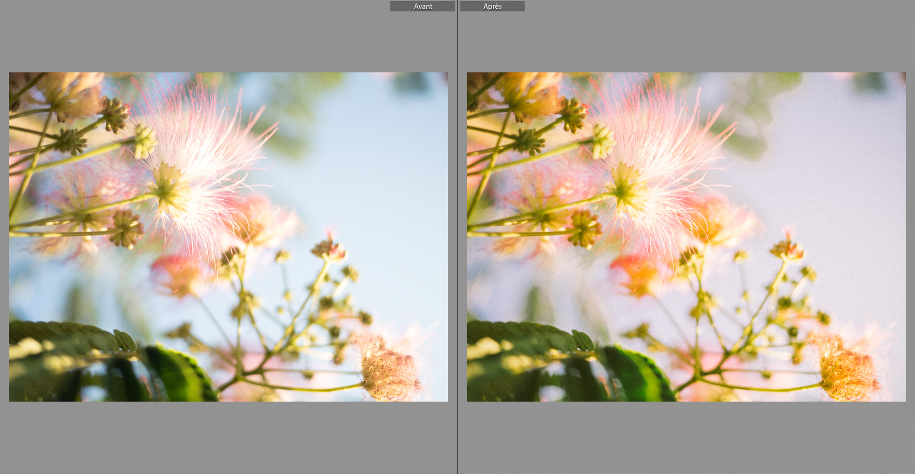 lightroom-avant-apres