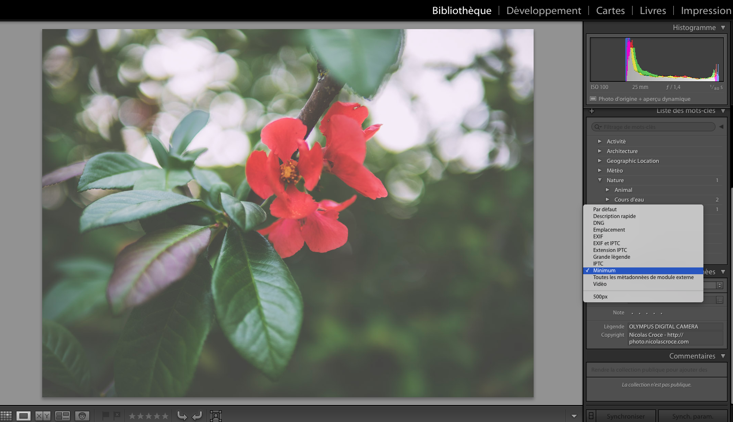 lightroom-custom-metadata