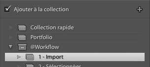 lightroom-import-dans-collection