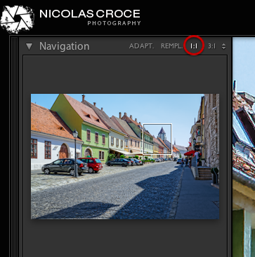 lightroom-zoom-100-percent