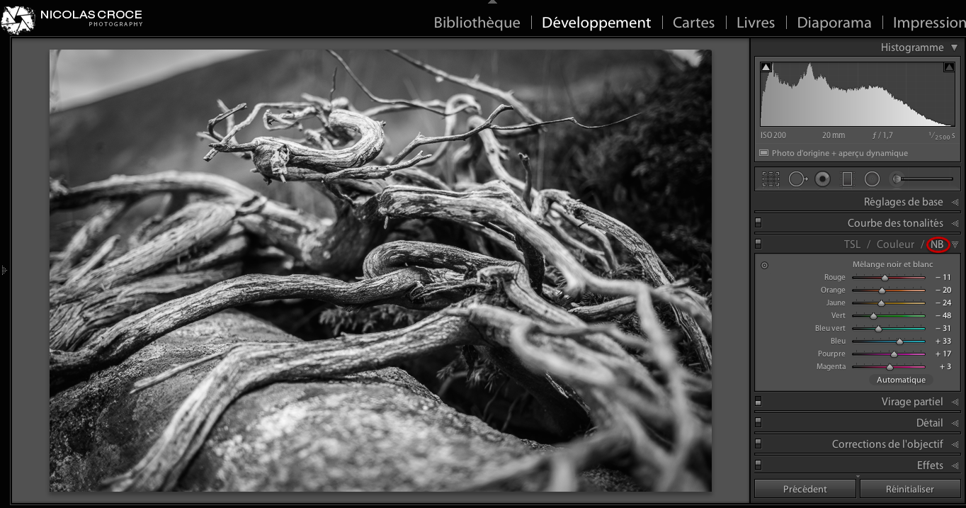 panneau nb conversion noir et blanc lightroom