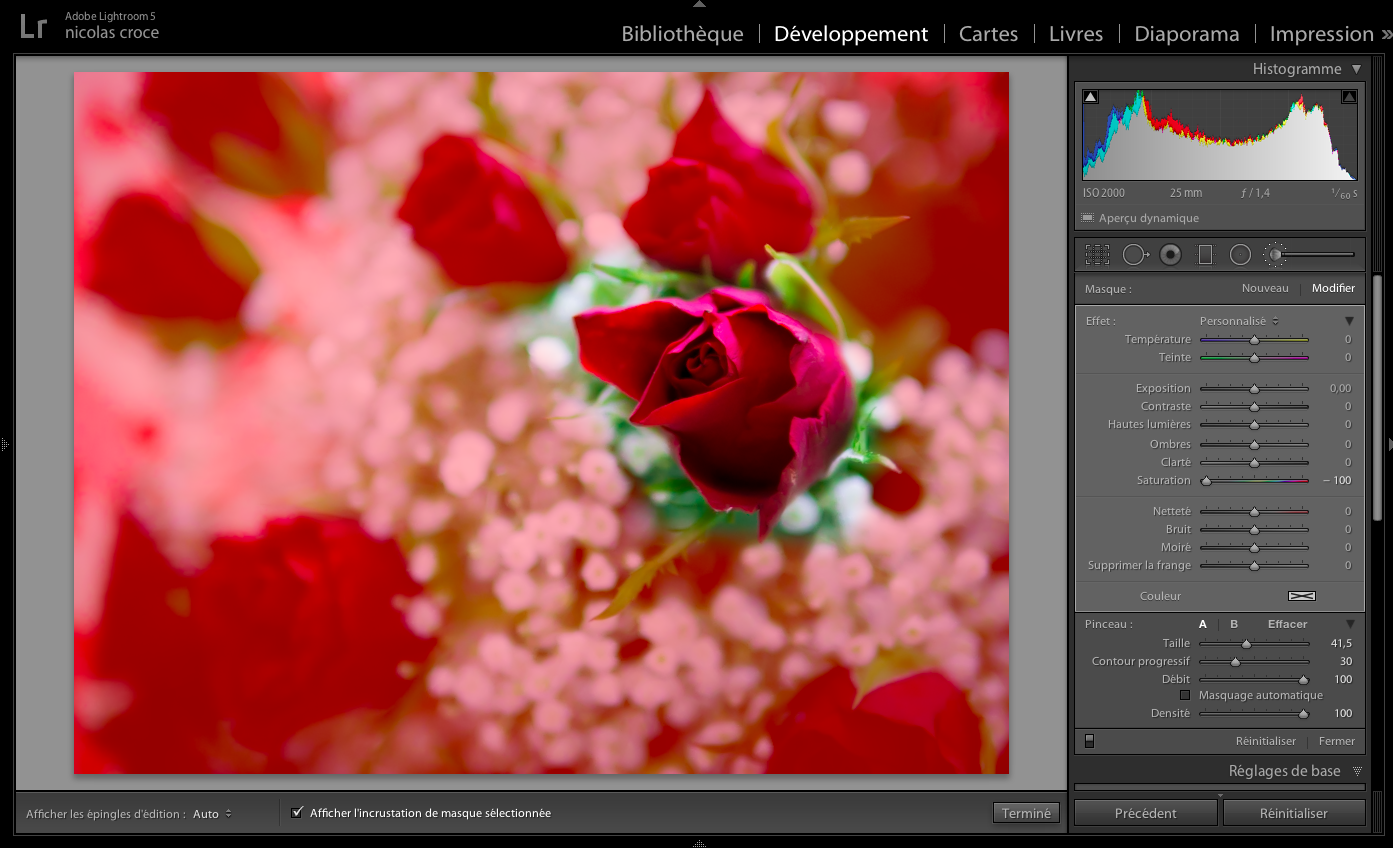 peinture-pinceau-grande-taille