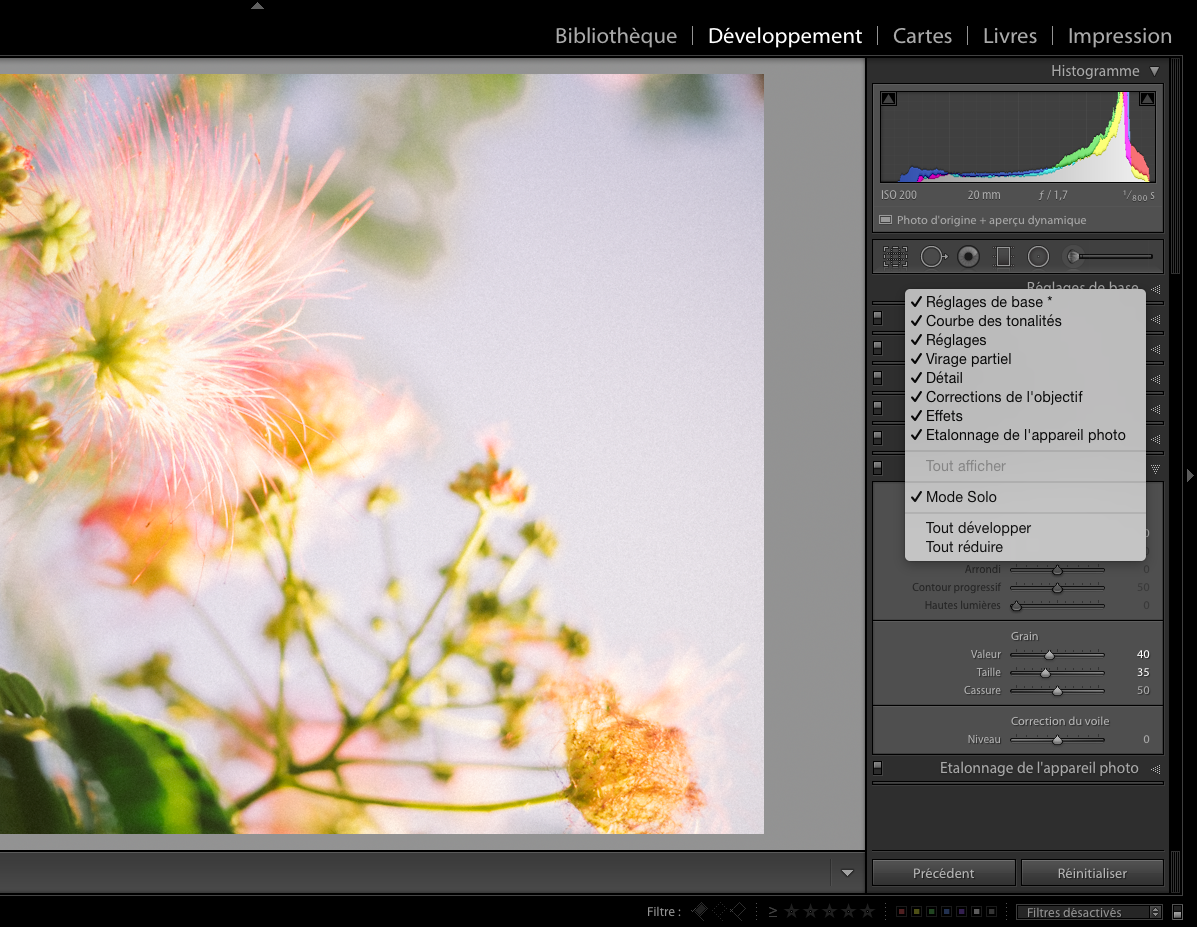simplifier-interface-lightroom