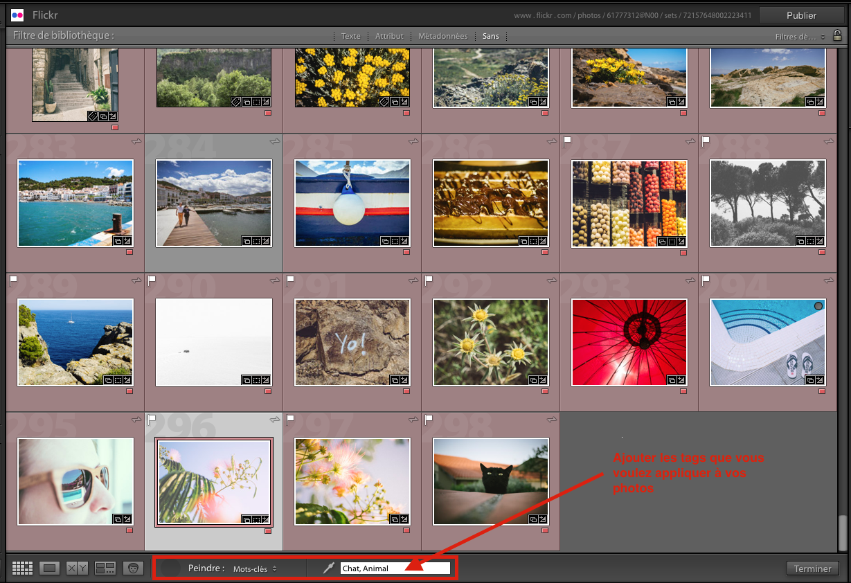 utilisation-bombe-peinture-lightroom