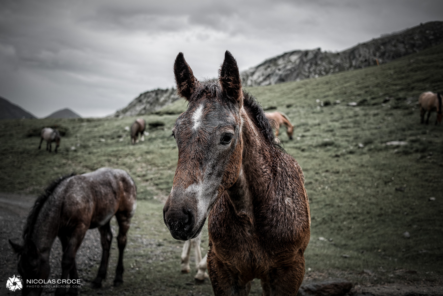 vignetage exemple apres