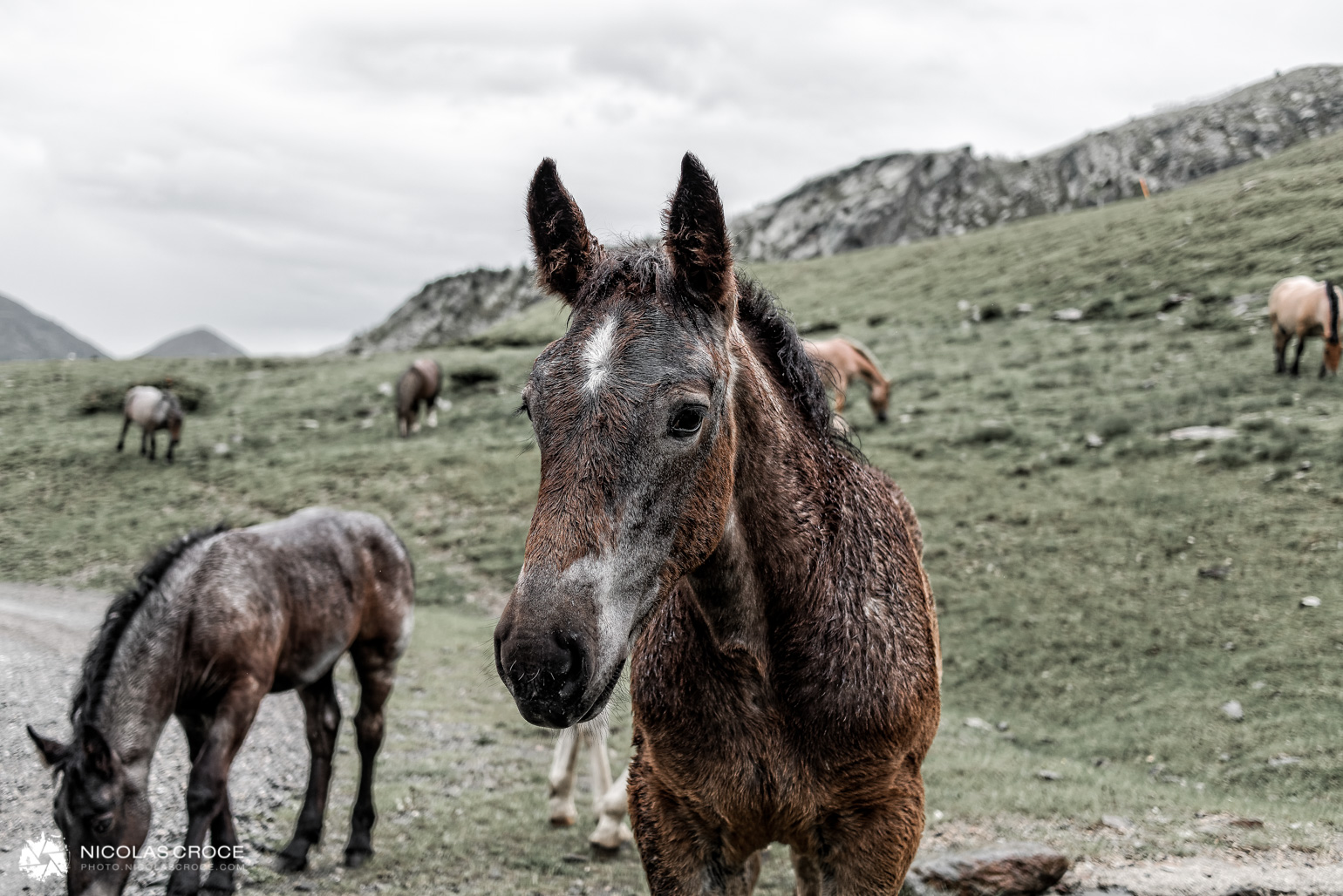 vignetage exemple avant